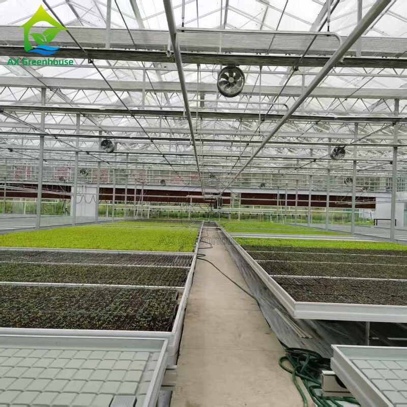 Cama de sementeira para cultivo de sementes em estufa, com base na logística personalizada