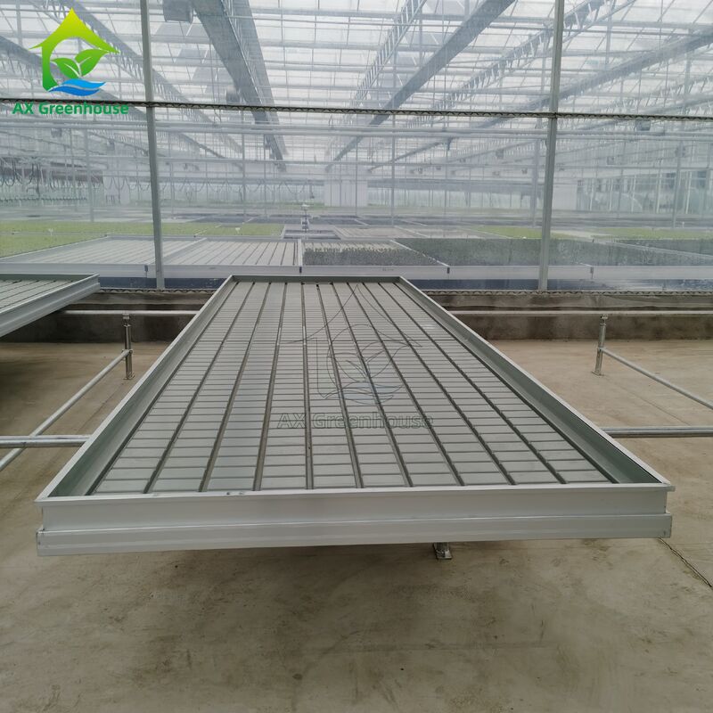 Cama de sementeira para cultivo de sementes em estufa, com base na logística personalizada