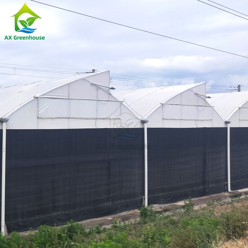 Estufa de Deprivação de Luz Multi-Vão com Estrutura de Aço Galvanizado a Fogo e Sistema de Parede Lateral Blackout em Dimensões Personalizáveis