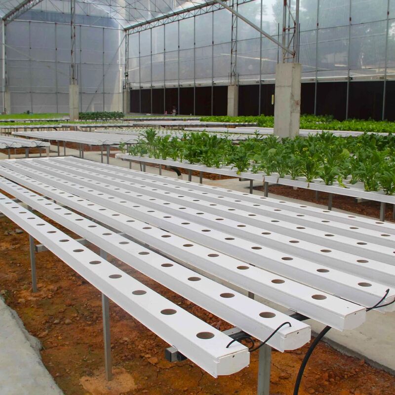 Sistema Hidropônico de Calha NFT em PVC de Grau Alimentício com Inibidores de UV e Dimensões Personalizáveis para Estufas Comerciais