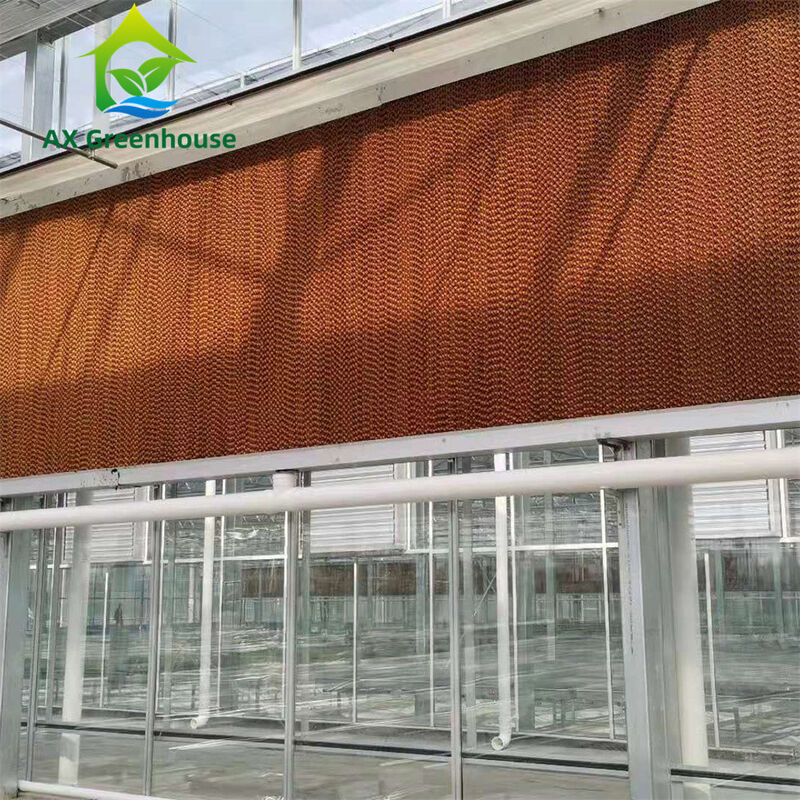 Estufas de vidro Venlo de várias faixas comerciais com estrutura de aço galvanizado a quente e moldura de telhado triangular
