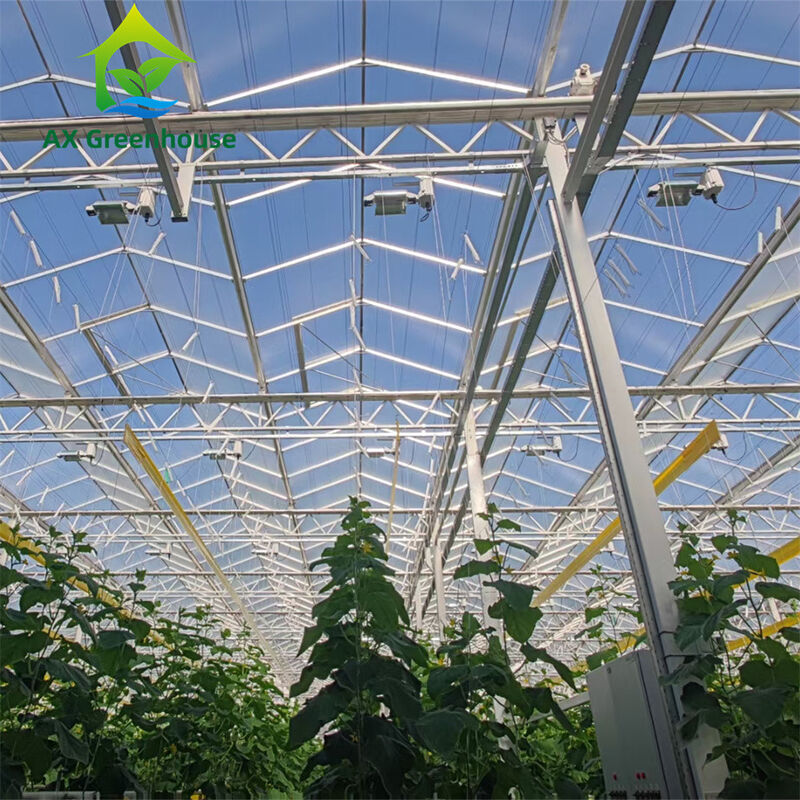 Estufas de vidro Venlo de várias faixas comerciais com estrutura de aço galvanizado a quente e moldura de telhado triangular