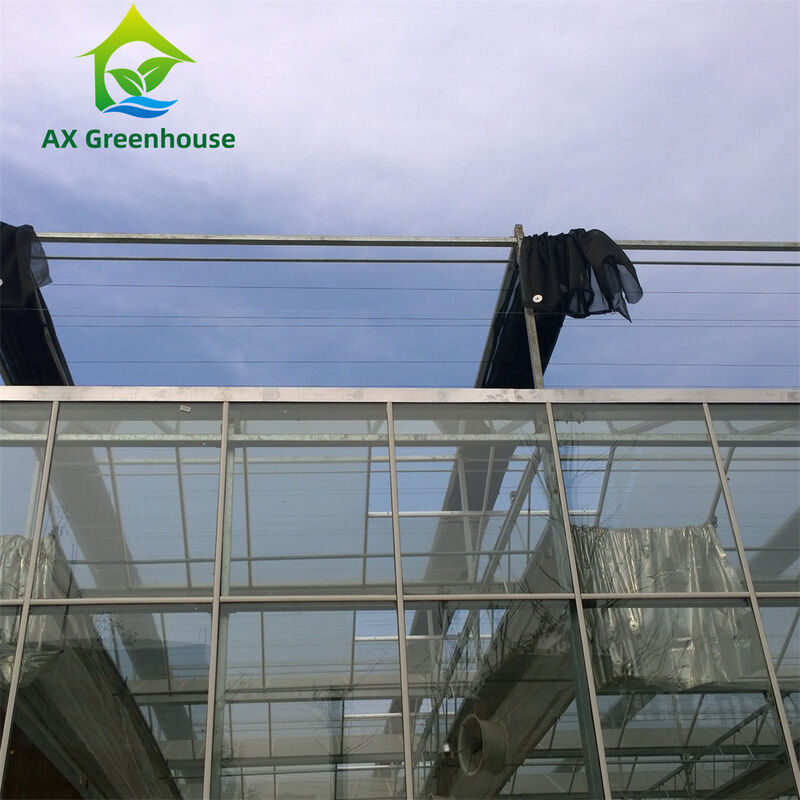 Estufas de vidro Venlo de várias faixas comerciais com estrutura de aço galvanizado a quente e moldura de telhado triangular