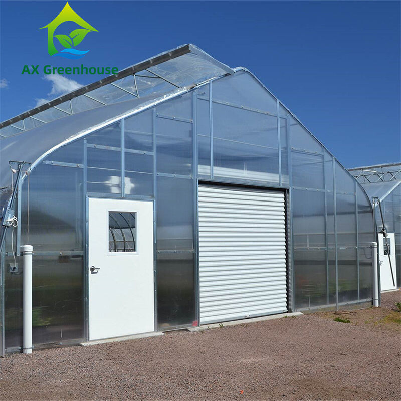 Estufa de policarbonato de parede múltipla e versátil Ideal para vegetais Sementes Flores Agricultura no quintal