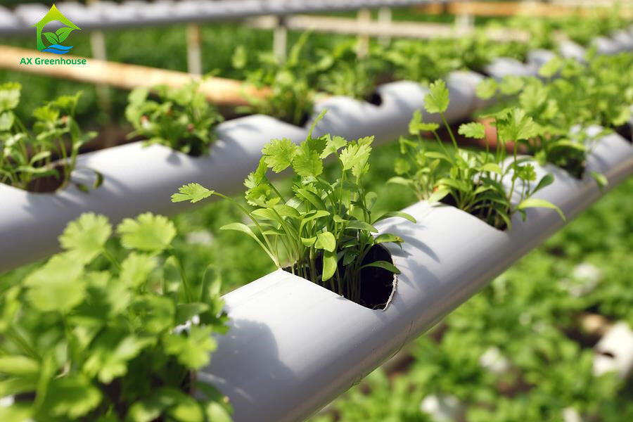 Agricultura sem solo em ambientes fechados Fertilização de morangos Tubo de PVC para hidroponia Sistema NFT para venda