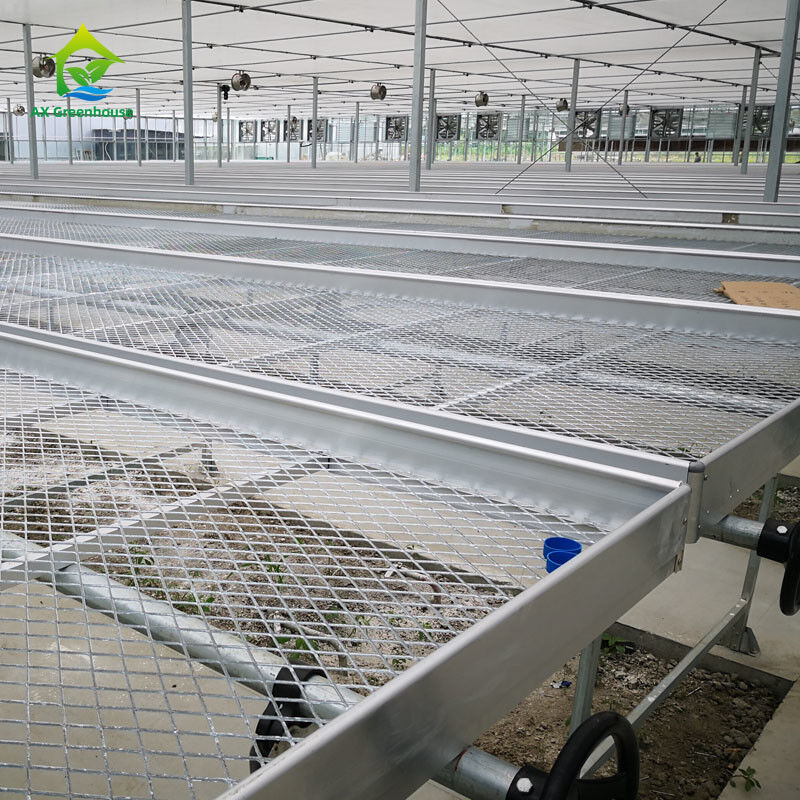 Agropecuária Comercial Interior de malha de fio de estufa de crescimento de mesa banco rolante para sementeira